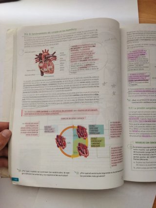 Biología, Geología y Ciencias Ambientales. 1 Ba...