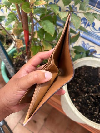 Cartera Louis Vuitton Marrón y Dorada
