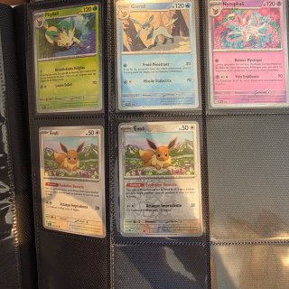 Binder Pokémon Eevee Prismático Comunes,reverses,☆