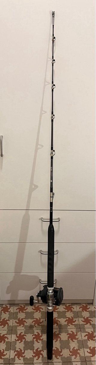 Carrete Shimano TLD25 + Caña katana Curricán