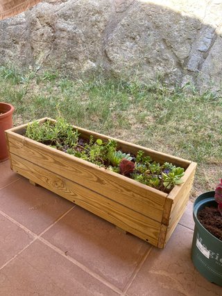 Jardinera de madera con suculentas