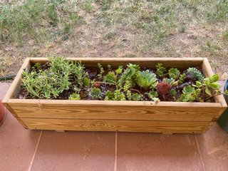 Jardinera de madera con suculentas