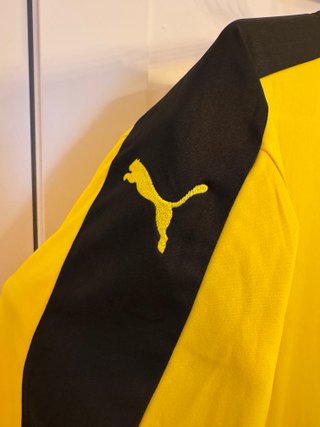 Camiseta Borussia Dortmund Puma Evonik