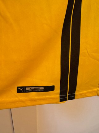 Camiseta Borussia Dortmund Puma Evonik