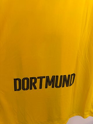 Camiseta Borussia Dortmund Puma Evonik