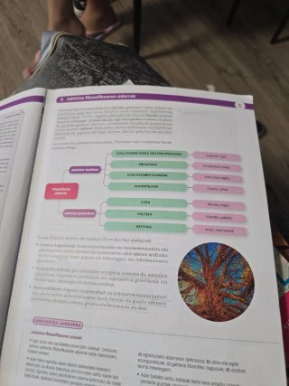 FILOSOFIA 1 BTX MUNDUAK ERAIKITZEN
