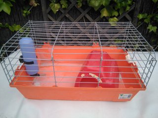 Acuario con mueble y accesorios