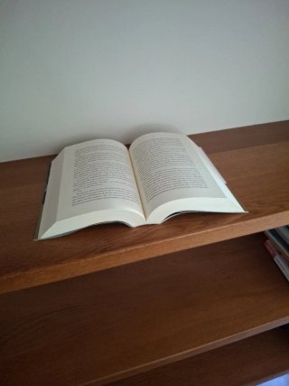 Tan Poca Vida - Hanya Yanagihara