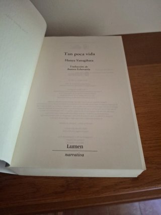Tan Poca Vida - Hanya Yanagihara