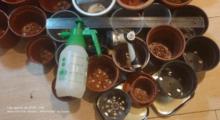 Lote Macetas Plástico Varias Medidas y accesorios