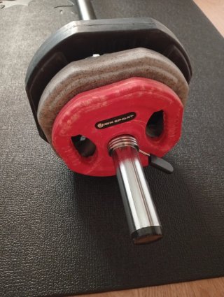 Barra de gimnasio con discos