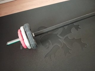 Barra de gimnasio con discos