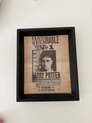 Cuadro Harry Potter Se Busca 3D