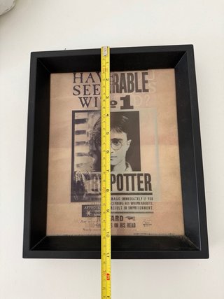 Cuadro Harry Potter Se Busca 3D