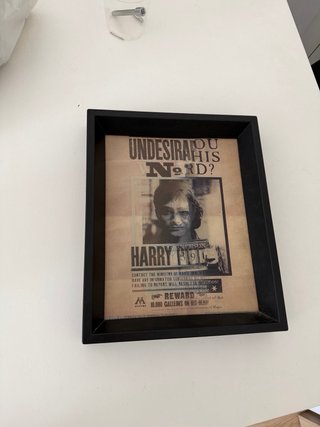 Cuadro Harry Potter Se Busca 3D