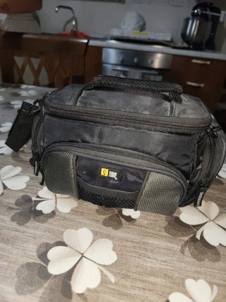 Videocamera Canon MV800 MiniDV Funzionante + Borsa