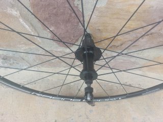 Rueda trasera ciclismo carretera Fulcrum
