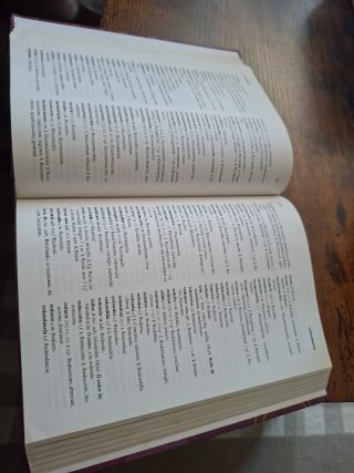 Traductor gallego castellano