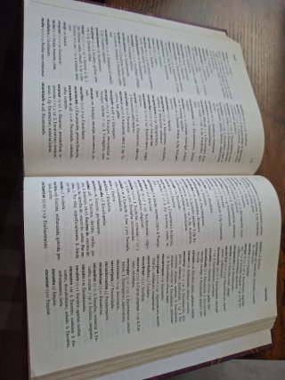 Traductor gallego castellano