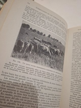 Libro COMPENDIO ALIMENTACION DEL GANADO