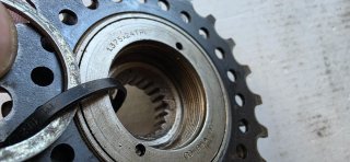 Roda Livre Maillard 5 Velocidades