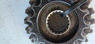 Roda Livre Maillard 5 Velocidades