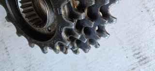 Roda Livre Maillard 5 Velocidades