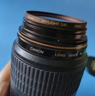 Canon EF 100mm f/2.8 Macro USM