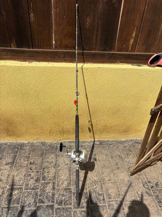 Equipo pesca Big Game Avet Pro EXW 50/2 + Rotako