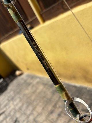 Equipo pesca Big Game Avet Pro EXW 50/2 + Rotako