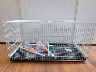 Jaula para pájaros