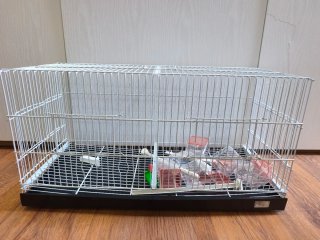 Jaula para pájaros