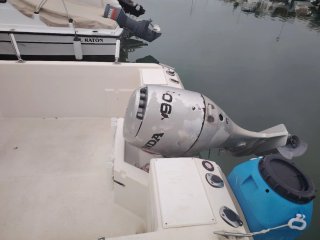 Barco Dipol 600 CP con motor Honda 90df