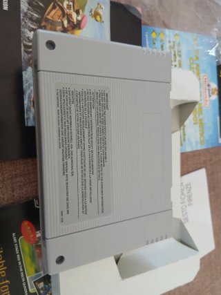 Donkey kong country 3 super nintendo
