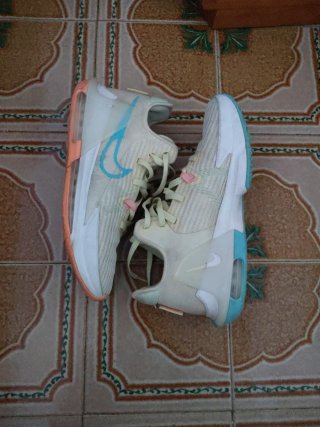 zapatos Nike LeBron witness VI