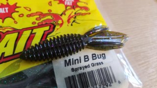 Vinilos Black Bass