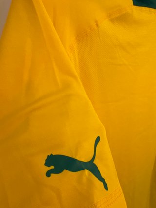 Camiseta Camerun