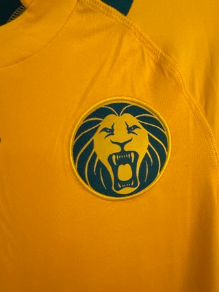 Camiseta Camerun