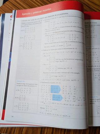 Matemáticas aplicadas a las Ciencias Sociales II.