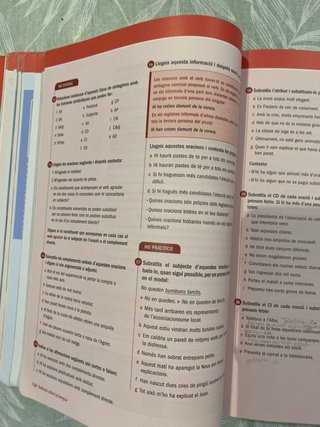 Llengua catalana i literatura 1 BAT