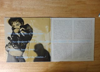 Doble vinilo Madonna The Immaculate collection