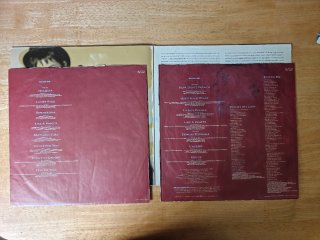 Doble vinilo Madonna The Immaculate collection