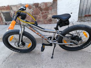 Bicicleta Scott Roxter 20 Gris