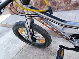 Bicicleta Scott Roxter 20 Gris