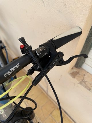 Bicicleta Wolfbike 29