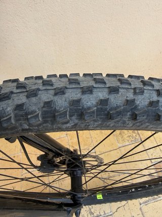 Bicicleta Wolfbike 29