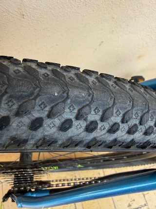 Bicicleta Wolfbike 29