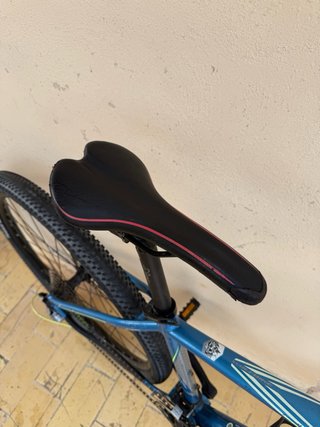 Bicicleta Wolfbike 29