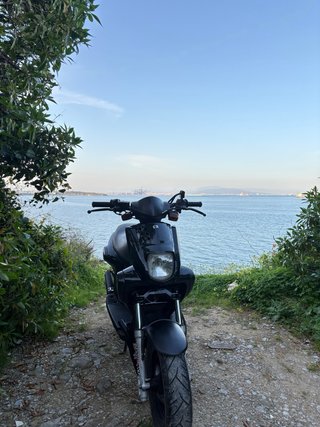 MBK Stunt/Yamaha Slider