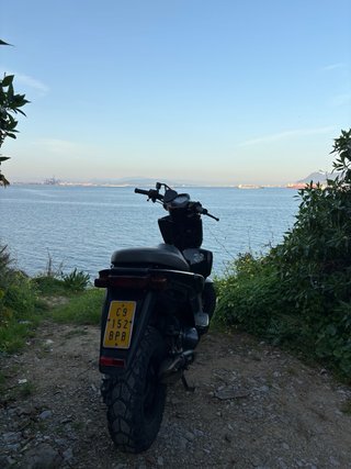 MBK Stunt/Yamaha Slider